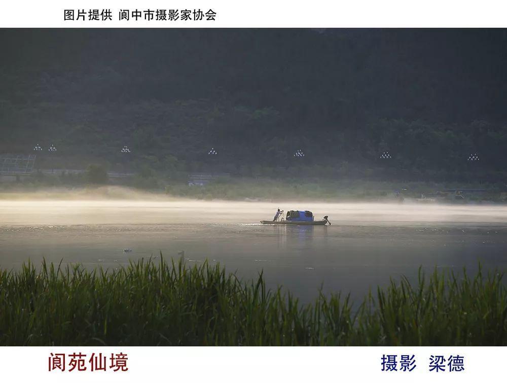 逗小猴开心系列185