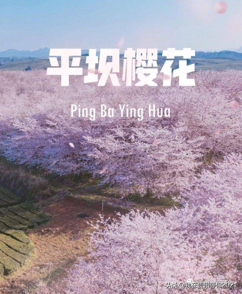 模拟山羊